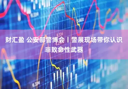 财汇盈 公安部警博会丨警展现场带你认识非致命性武器